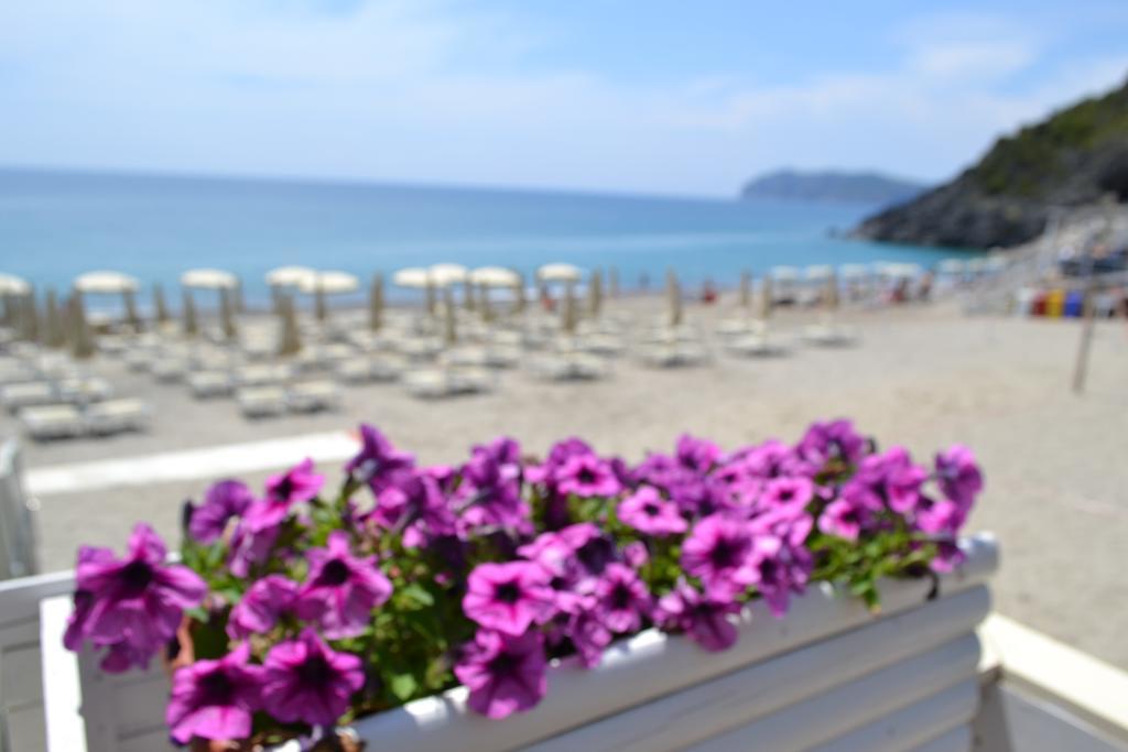 Villaggio Garden Park Marina di Camerota Exterior foto